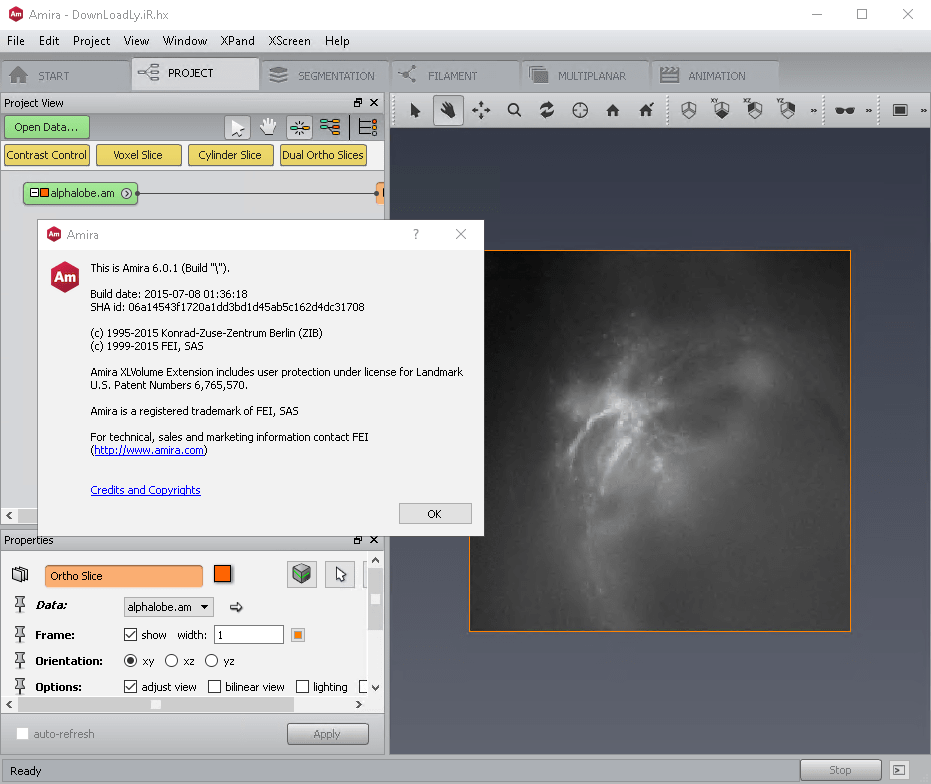 Pictures · FEI Amira 6.0.1 x64