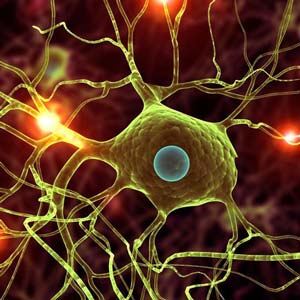Udemy — Modern Deep Learning in Python 2021-4
