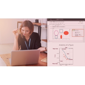Pluralsight — Building Interactive Visualizations Using Bokeh 2024-10