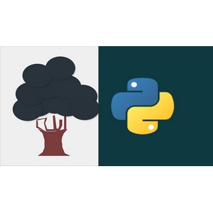 Udemy — 2023 Learn Python Programming from Python Basics to Advanced 2022-11