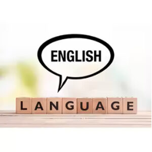 Coursera — Learn English: Advanced Grammar and Punctuation Specialization 2024-4