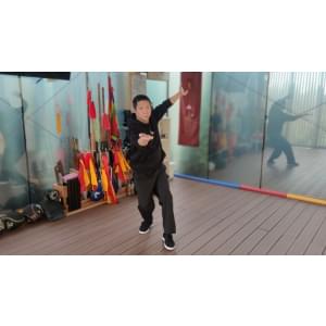 Udemy — Tai chi Forms for Health and Self-defense for All Levels 2022-10