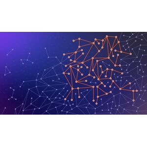 Udemy — The Complete NetworkX Course: From Zero to Expert! 2024-1