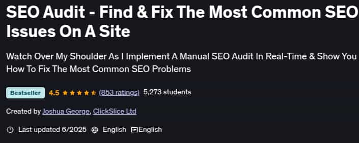 Pictures · Udemy — SEO Audit – Find & Fix The Most Common SEO Issues On A Site 2025-6