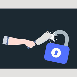 Ethical Hacking/Pentesting & Bug Bounty Hunting v2 2025 2025-3