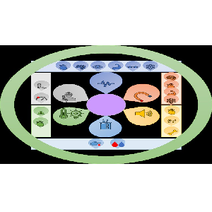 Biomedical Signal Processing 2024-5