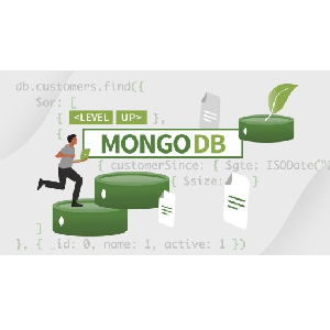 LinkedIn — Coding Exercises: MongoDB 2022-11