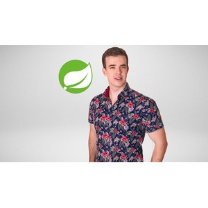 Spring Framework for Java Developers: Practical Guide 2024-6