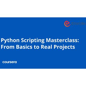 Python Scripting Masterclass: From Basics to Real Projects Specialization 2025-7