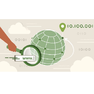 LinkedIn — Learning DNS 2023-6