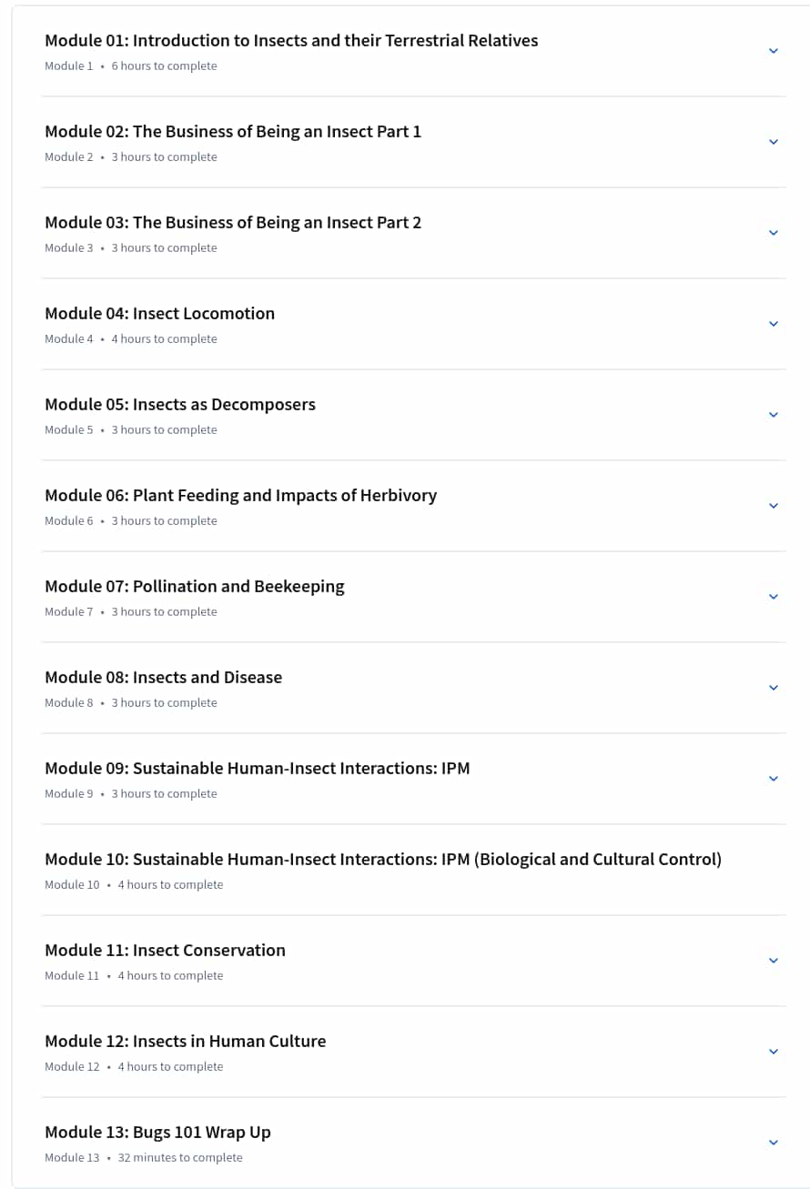 Course topics · Coursera — Bugs 101: Insect-Human Interactions 2025-4