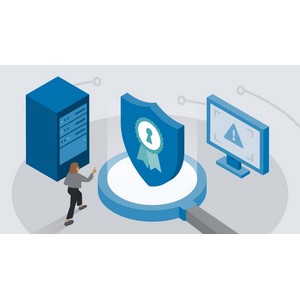 CompTIA Cybersecurity Analyst (CySA+) (CS0-003) Cert Prep 2025-11