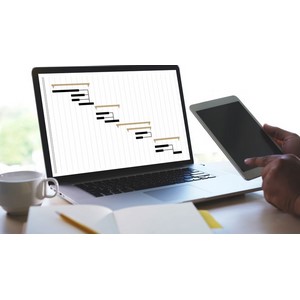 Udemy — 项目管理与数据库设计 2026-9