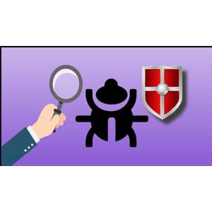 Reverse Engineering & Malware Analysis – Intermediate Level 2024-12