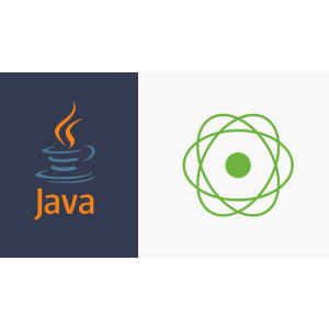 Mastering in Java Reactive Programming [ Von Scratch ] 2026-2
