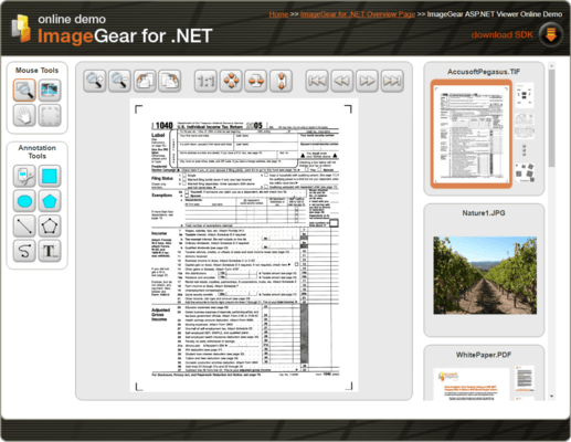Pictures · Accusoft ImageGear for .NET 24.8 Retail