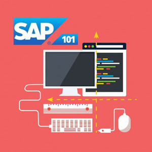 Udemy — The Complete SAP S/4HANA Bootcamp 2023 2022-4