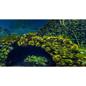 The Great Courses Plus – Unterwasserarchäologie: Geheimnisse der Tiefe 2025-4