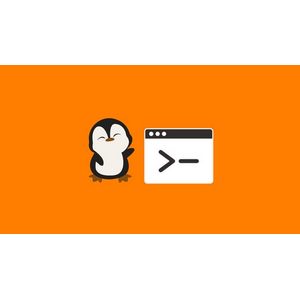 Udemy — Linux for Cloud Engineers and Devops 2024-10