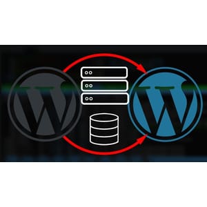 WordPressМиграционный мастер 2023-9