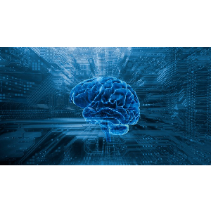 Udemy — Build 75 Powerful Data Science & Machine Learning Projects 2025-9