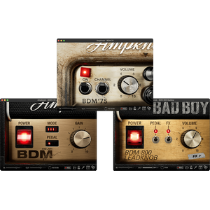 Bogren Digital AmpKnob BDM Bundle 2025.5