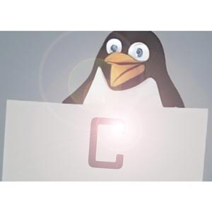 प्रारंभिक C प्रोग्रामिंग के लिए शुरुआती मार्गदर्शिका Linux 2026-8