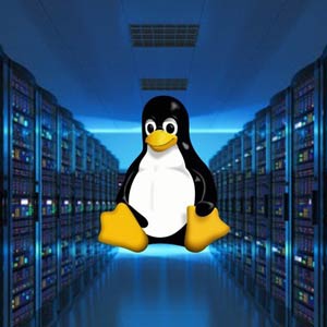Linux Sysadmin:構築 5 ハンド・オン Linux 現実の雇用プロジェクト 2025-8