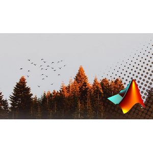 Particle Swarm Optimization Algorithm(MATLAB Implementation) 2022-2