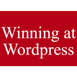 Brand and Bloom Designs — Winning at WordPress 2024-9