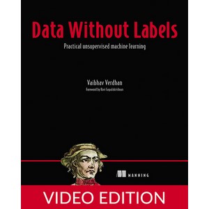 Oreilly — Data Without Labels, Video Edition 2025-5