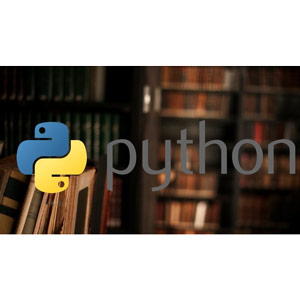 Mastering Python Libraries: Extensive Knowledge in the Short 2024-11