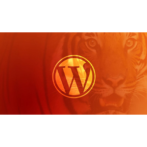 Se convierte en un WordPress Desarrollador: Desbloquear el poder con código 2025-4