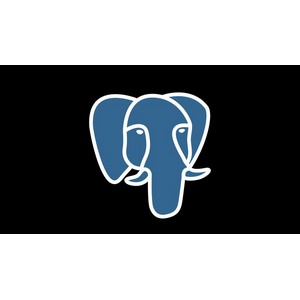 The Complete Beginner to Advanced PostgreSQL Course 2024 2024-3