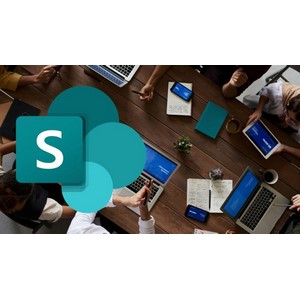 Udemy — SharePoint Online Permissions – SharePoint Permissions Guide 2024-9