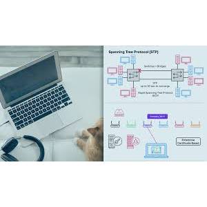 Network Implementation for CompTIA Network+ 2024-9