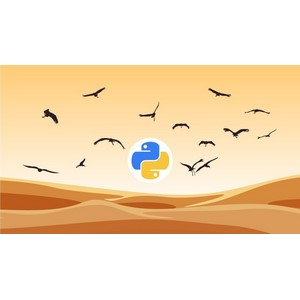 Bio-inspired Artificial Intelligence Algorithms 2022-5