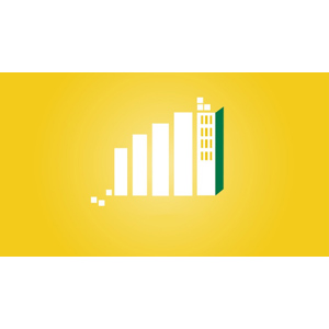 Udemy — Microsoft Power BI – The Practical Guide 2024 2024-6