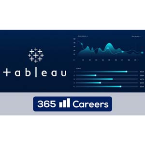 Der komplette Tableau Analytiker Bootcamp 2025 2025-8