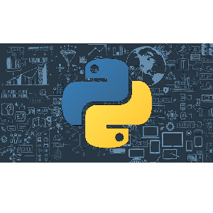 Udemy — Python: Coding Guidelines, Tools, Tests and Packages [2024] 2020-3