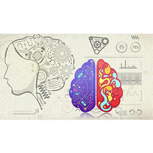 ZeroToMastery — Learning to Learn [Efficient Learning] 2025-4