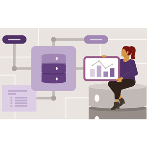 Practical Database Design: Implementing Responsible Data Solutions with SQL Querying 2024-6