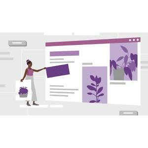 LinkedIn — WordPress Essential Training 2024-9