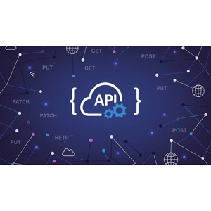 offensive API exploitation 2025-5