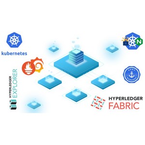 Udemy — The Complete Guide on Hyperledger Fabric v2.x on Kubernetes 2021-5