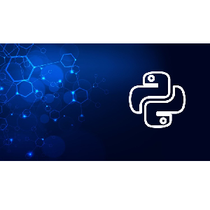 Udemy — Micro Learning | Python Programming 2024-6
