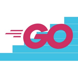 Learn Go Programming with 20 Projects 2024-8