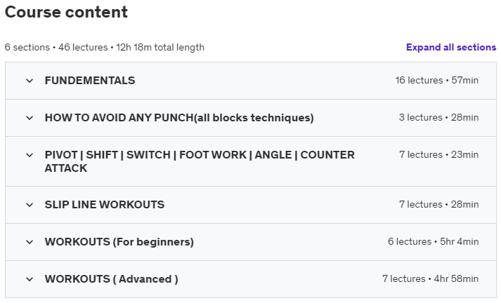 Course topics · Udemy — Boxing Training Course, Complete Workout Set 2022-1