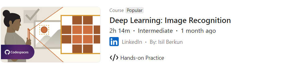 Pictures · LinkedIn — Deep Learning: Image Recognition 2024-8
