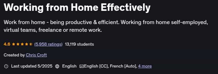 Pictures · Udemy — Working from Home Effectively 2025-5